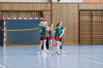 Bild 284 - F HSG Kre/Mue - HFF Munkbrarup : Ergebnis: 49:20